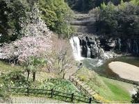 龍門の滝（春）