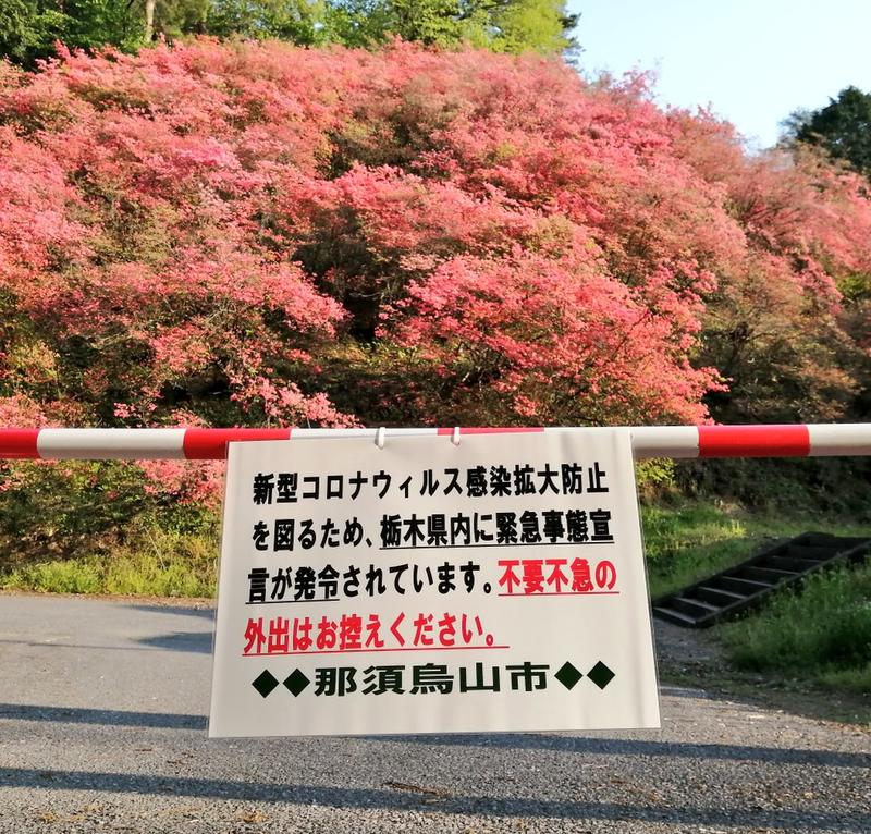 新着ニュース 一般社団法人那須烏山市観光協会